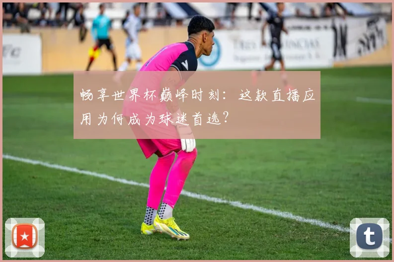 畅享世界杯巅峰时刻：这款直播应用为何成为球迷首选？